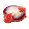 Halal Frozen Chicken Gizzard/Chicken Meat /Fresh Chicken Grade Premium From Thailand