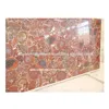 Gemstone Petrified Wood Natural Stone Wall Slab