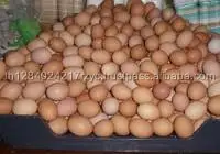 Farm Fresh Chicken Brown & White Table Eggs