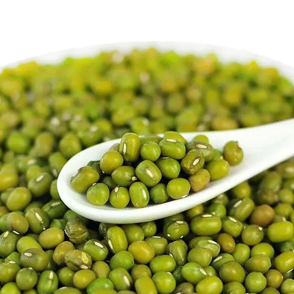 
high quality Uzbekistan green mung beans organic mung beans 