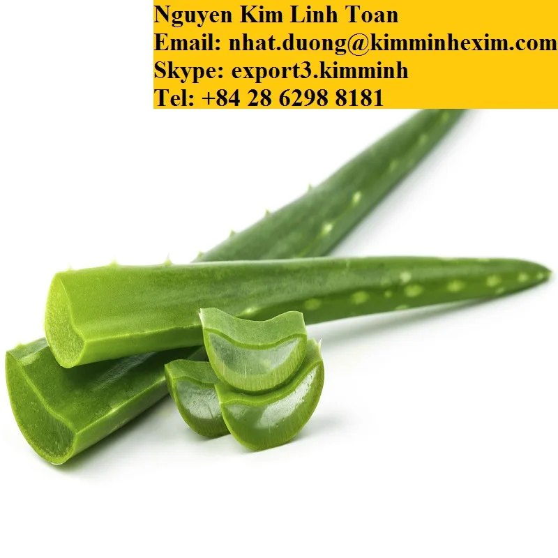 ALOE VERA LEAVES .jpg