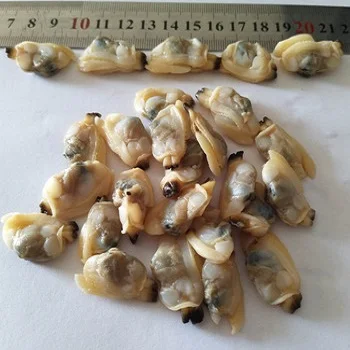 
frozen whole raw yellow baby clam meat 