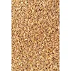 Bulk Supplier of Indian Wheat Grain/Whole Wheat With Good Source Of Vitamin Available at Low Price 50kg Bag