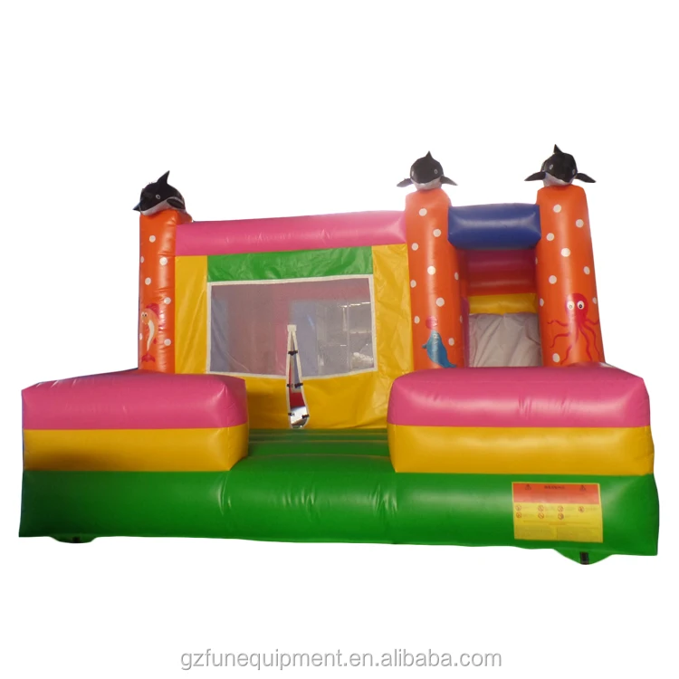 inflatable bouncer house.jpg