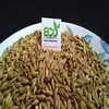 High quality cheap barley