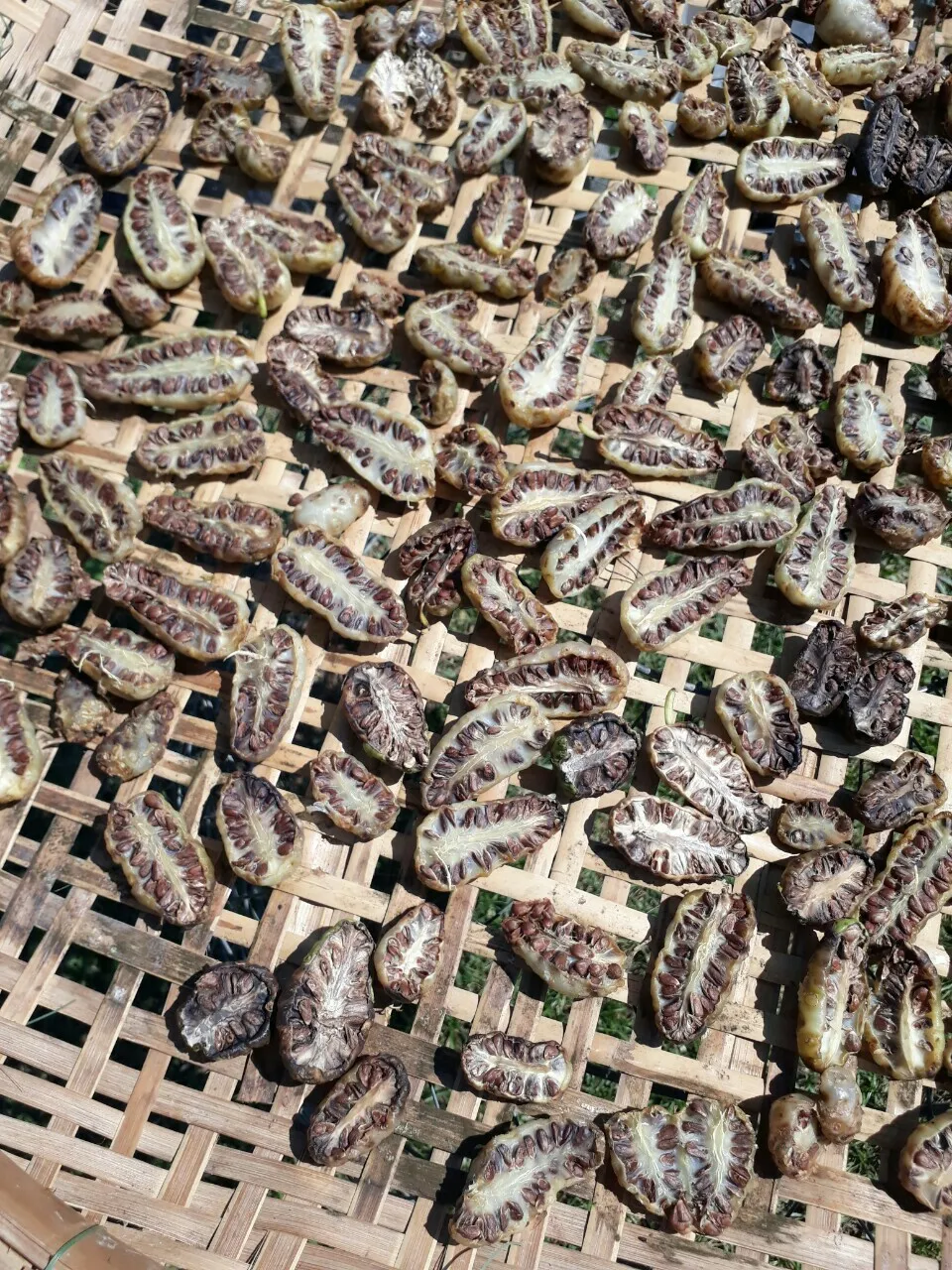 Cut Half Dried Noni Fruit / Dried Noni In Viet Nam Whatsapp+84845639639 Buy Dried Berry