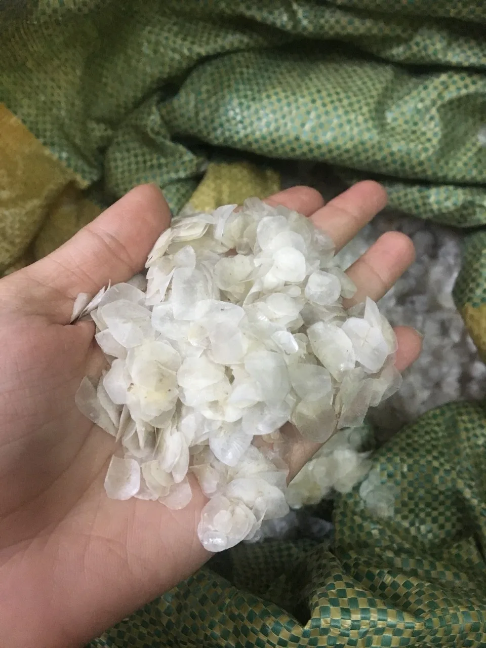 High Quality Dried Fish Scales Special Seafood From Vietnam / Ms