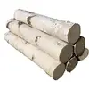 Birch Logs for Sale for decoration