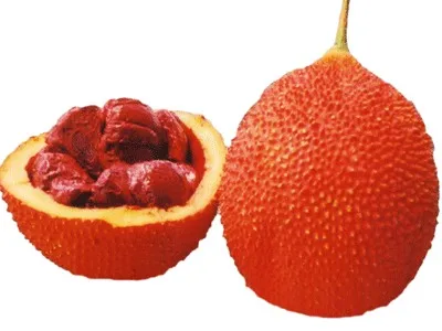 natural gac fruit powder/momordica (gac) fruit pulp