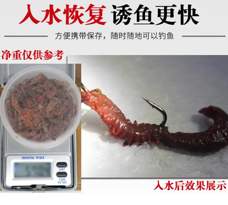 Fulljion Freeze Dried Natural Fishing Bait Lures Sand Worm Bait Buy