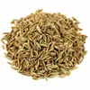 CUMIN SEEDS EUROPE QUALITY