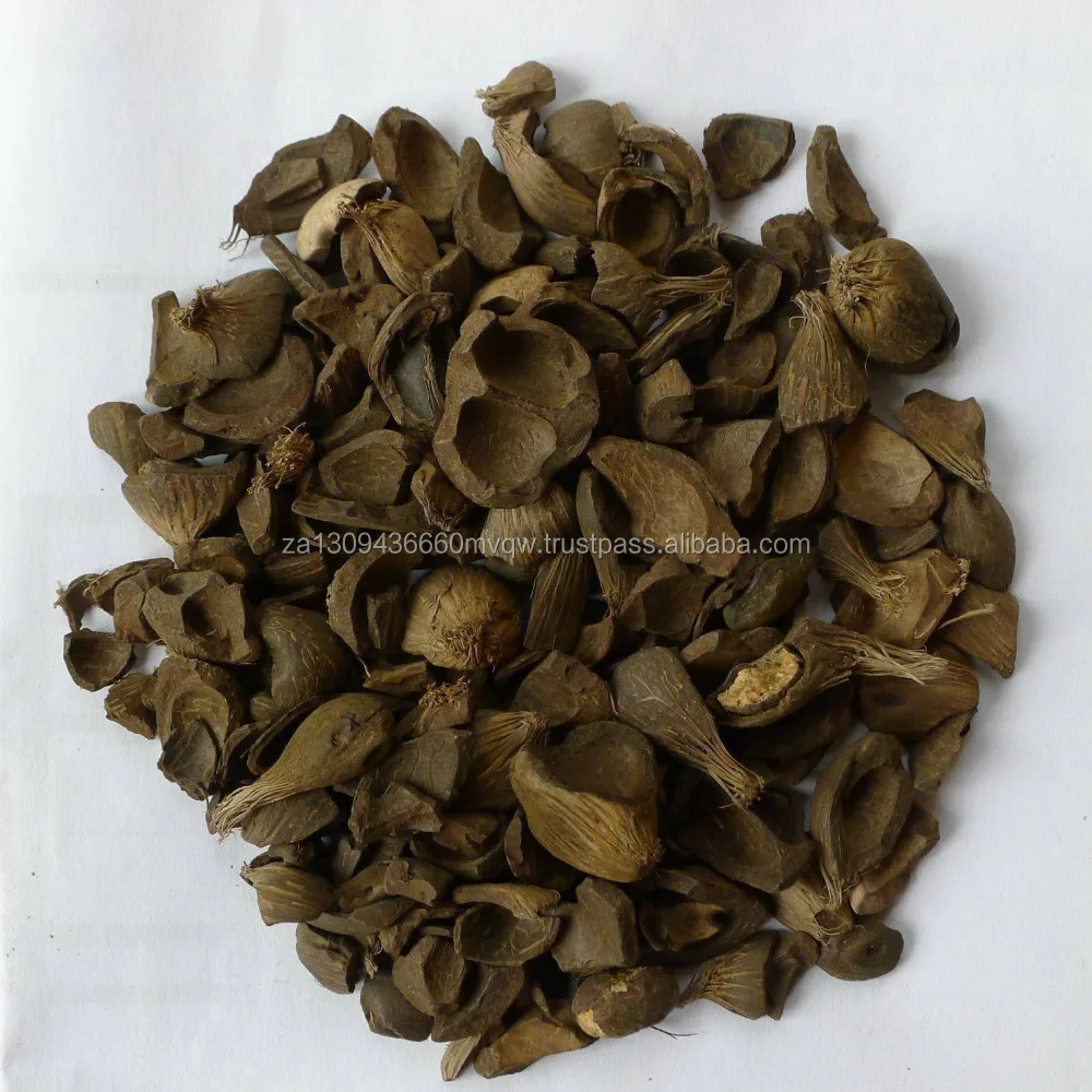 palm kernel shell 2.jpg