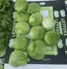 fresh iceberg lettuce high quality export (A)