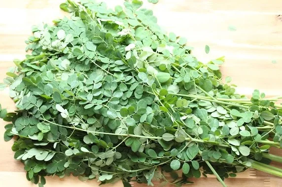 fresh moringa.jpg
