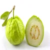 Natural White Guava Pulp/Puree