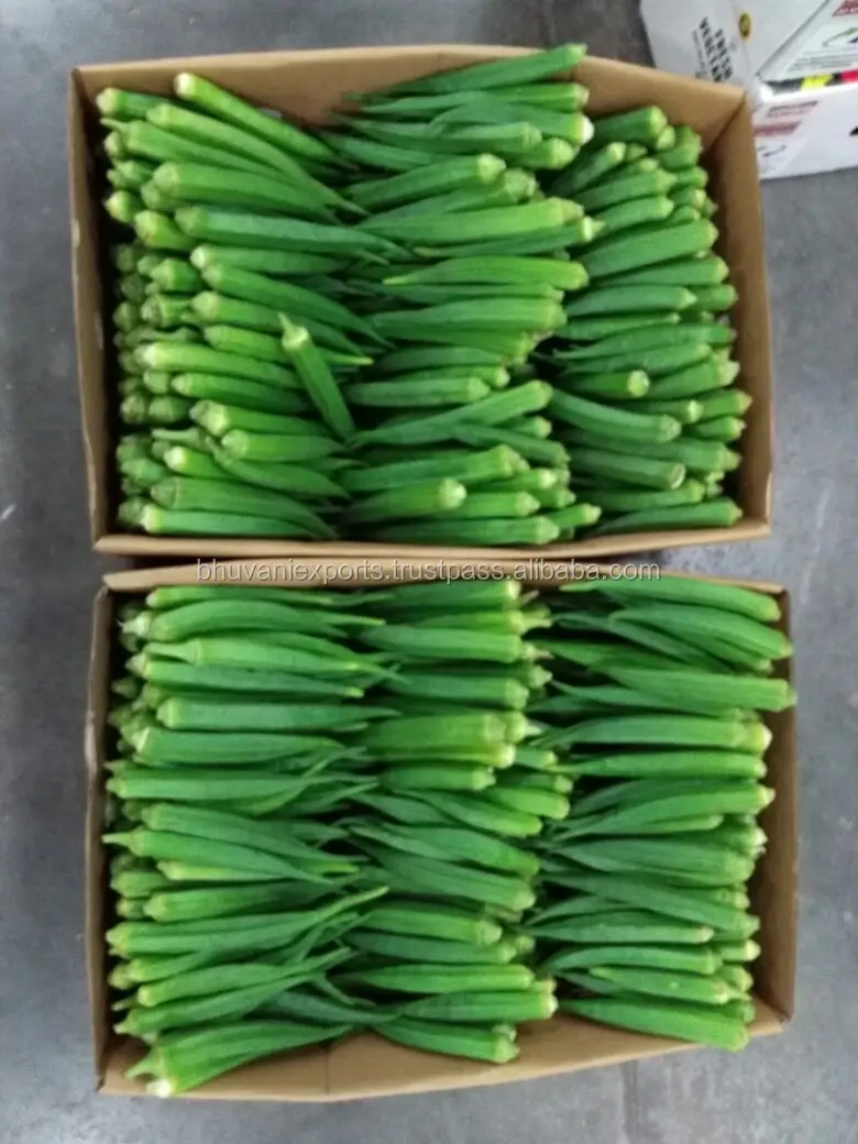 Okra 2.jpg