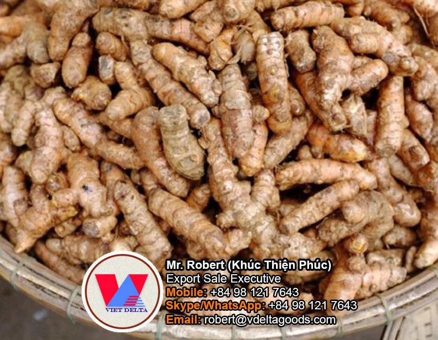 sell vietnam fresh garlic plant bulb garlic butter