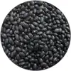 Manufactured Black Kidney Beans for supply