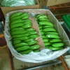 Fresh Bananas for export