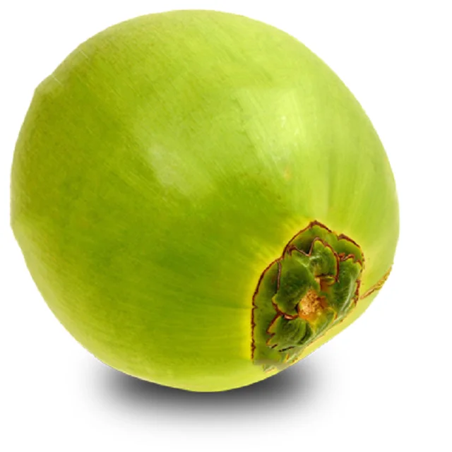 young coconuts import