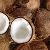 semi-husked fresh matured coconut