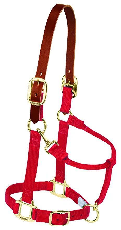 
2019 Top quality Leather Breakaway Original Adjustable Chin and Throat Snap Halter by Hami Land Sports 