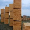 Ukraine Quality Grade AA Pine/Spruce Wood Pallet Elements