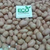 Peanut Kernel/raw peanuts without shell