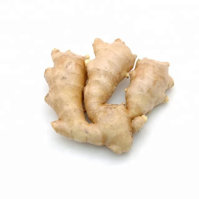 Ginger Root Figging