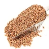 Organic Wheat Kernels
