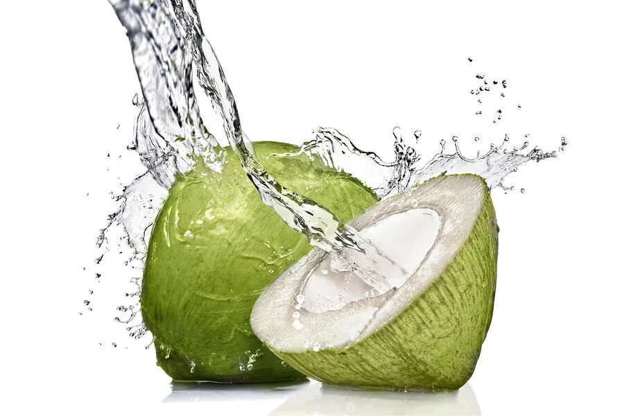 Fresh Bulk Size Coconut Water From Indonesia Buy Coconut Water