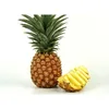 Export Oriented Good Quality Farm Fresh Pineapple