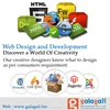Professional Wordpress Website Design and Website Development Service for Doctors at Best Indian Price