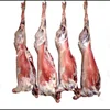 Fresh Frozen Goat Meat