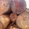 Hard Wood Timber for sale
