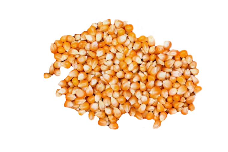 8.png