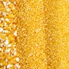 Factory price 100% Organic maize, Hominy Corn/Popcorn Corn kernel/Sweat Corn kernel
