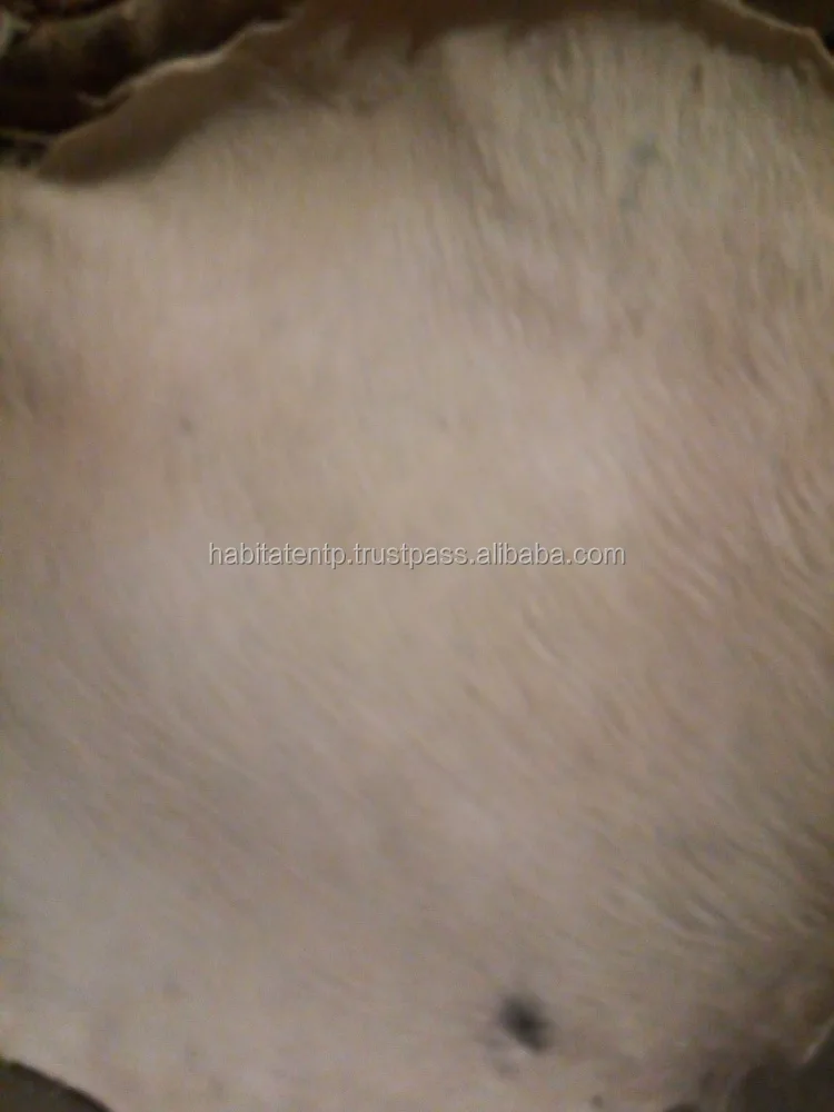 Drum Head Skins Hairs African Drum Head Goat Skins Buy Raw Hide Sheep