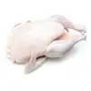 /product-detail/brazilian-quality-halal-frozen-whole-chicken-and-parts-gizzards-thighs-feet-paws-drumsticks-62003784899.html