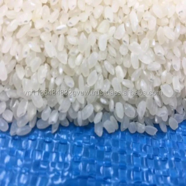 JAPONICA 2% BROKEN 15.jpg