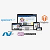 Magento Website Design & eCommerce Development Services