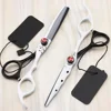 DEXAM Professional Hair Cutting thinning scissors set Black & White Barber Scissor hairdressing scissors tesoura shears