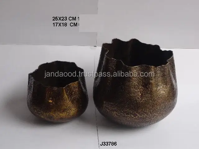 J33786.JPG