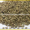 Top Price Robusta Coffee Green Bean R1 S16 Whatsaap: +84965152844)