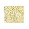 Premium Quality Organic Delicious White Corn Maize for Export