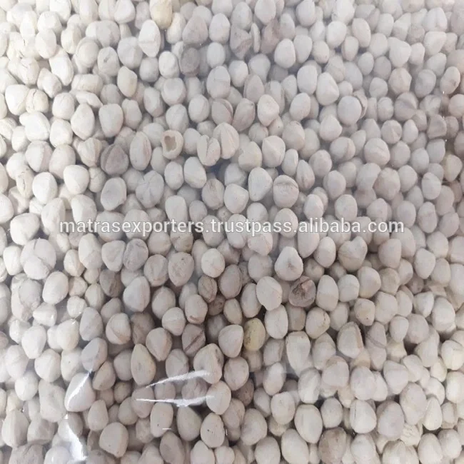 Moringa-Seeds-for-Sale.jpg