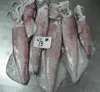 Hot Sale Whole Round Frozen Loligo Squid