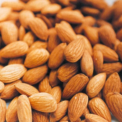 Thailand Natural Almond Nuts in Bulk Supplier