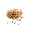 Top Quality Whole Wheat from India