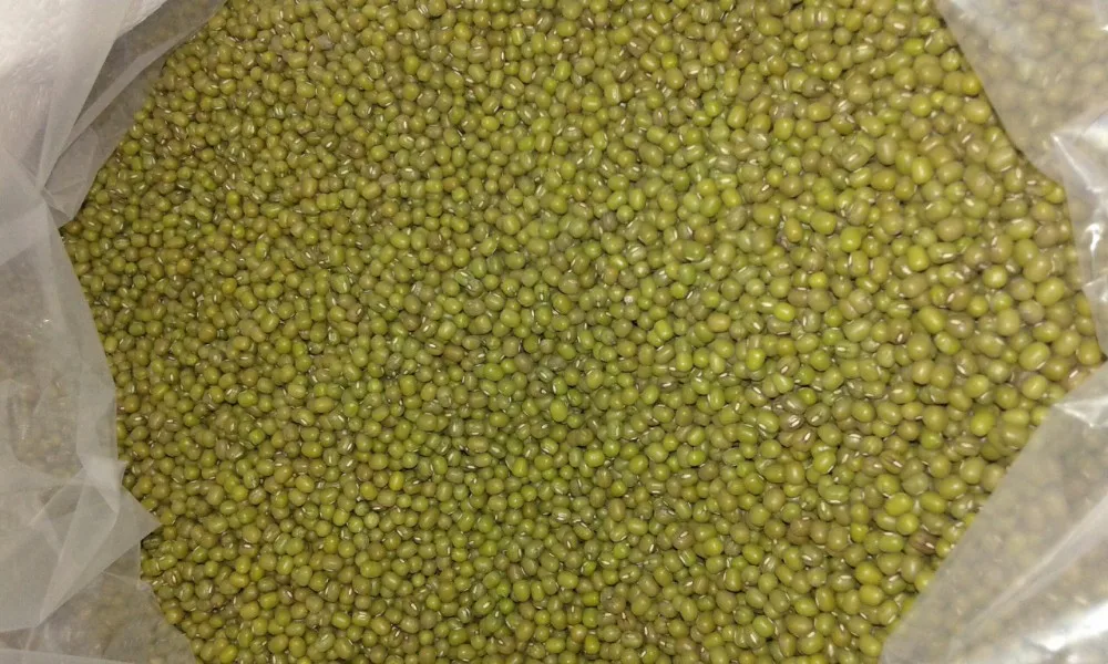 Green mung bean.